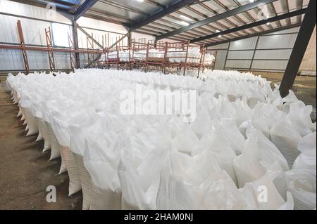File di sacchi da imballaggio bianchi con carico in magazzino Foto Stock