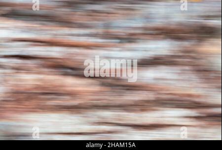 Foto astratta del paesaggio - tecnica intenzionale del movimento della macchina fotografica (ICM) per generare una foto di sfondo artistico sognante e moody di soggetti sfocati - linee Foto Stock