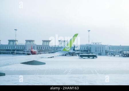 San Pietroburgo, Russia - 13 febbraio 2021: Aereo della linea aerea S7 in aeroporto Pulkovo in inverno. Foto Stock