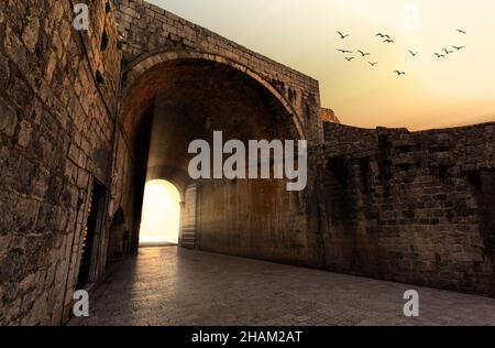 Vecchie porte nel castello - un'antica roccaforte Foto Stock