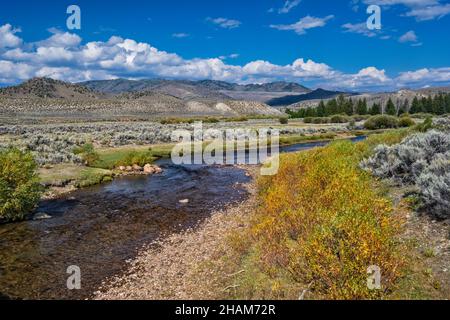 Willow arbusti a Big Sandy River, Sagebrush, Wind River Range in lontananza, vista da Lander Cutoff Road (CR 132), Bridger Teton Natl Forest, Wyoming Foto Stock