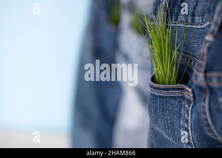 Abbigliamento da consumo responsabile. Dalle tasche di jeans germogli piante. Spazio per il testo Foto Stock