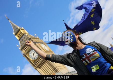 Una sostenitrice femminile della Brexit svela una bandiera dell’UE davanti al Big ben durante una dimostrazione Foto Stock
