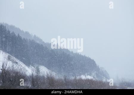 Vista pittoresca della catena montuosa coperta da fitti boschi durante la tempesta di neve in inverno Foto Stock