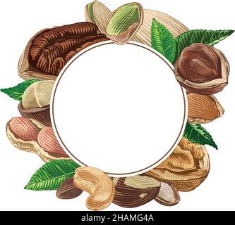 Modello in noce per l'etichetta disegno a mano disegno disegno disegno disegno disegno disegno disegno disegno stile illustrazione Illustrazione Vettoriale