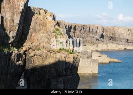 Piccola, antica, cappella, a,St Govans Chapel,Saint Govans,St Govans Head,Tiny,heremits,cell,next,to,Sea,water,Coast,Coast,Coastline,Pembrokeshire,West,Wales,Welsh,GB,Great Britain,British,St Govan's Chapel è una cappella situata a St. Govan's Head, Pembrokeshire nel Galles sud-occidentale. Costruito sul lato di una scogliera calcarea, l'edificio misura 20 x 12 piedi con pareti costruite in pietra calcarea, ed è composto da due camere, una nella parte anteriore e una nella parte posteriore. La maggior parte della cappella è stata costruita nel XIII secolo, anche se alcune parti di essa possono risalire al sesto secolo. Foto Stock