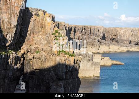 Piccola, antica, cappella, a,St Govans Chapel,Saint Govans,St Govans Head,Tiny,heremits,cell,next,to,Sea,water,Coast,Coast,Coastline,Pembrokeshire,West,Wales,Welsh,GB,Great Britain,British,St Govan's Chapel è una cappella situata a St. Govan's Head, Pembrokeshire nel Galles sud-occidentale. Costruito sul lato di una scogliera calcarea, l'edificio misura 20 x 12 piedi con pareti costruite in pietra calcarea, ed è composto da due camere, una nella parte anteriore e una nella parte posteriore. La maggior parte della cappella è stata costruita nel XIII secolo, anche se alcune parti di essa possono risalire al sesto secolo. Foto Stock