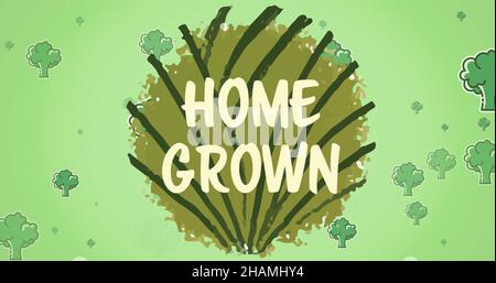 Immagine composita digitale del testo cresciuto in casa su foglia di cavolo tra broccoli su sfondo verde Foto Stock