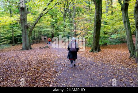 Vista posteriore donna anziana zaino camminare da solo nella natura Highgate Wood Woodland Walk autunno foglie alberi parco Muswell Hill Londra N10 UK KATHY DEWITT Foto Stock