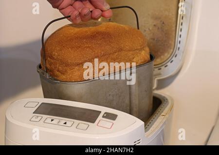 Pane cotto in una macchina per il pane. Foto Stock