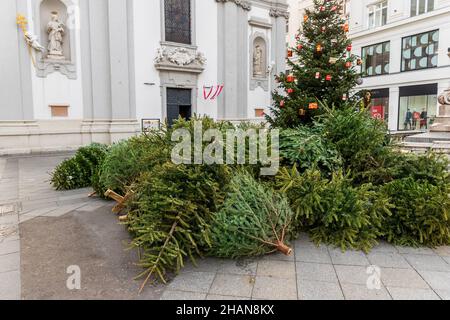 Discarica pila di molti abeti abbandonati usati alberi di natale raccolti per la rimozione o il riciclaggio dopo la fine festa di Natale nel centro storico di Vienna europeo Foto Stock