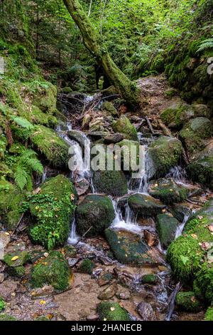 Colpo verticale della cascata di Geroldsau con pietra mosy nella Foresta Nera, Germania. Foto Stock
