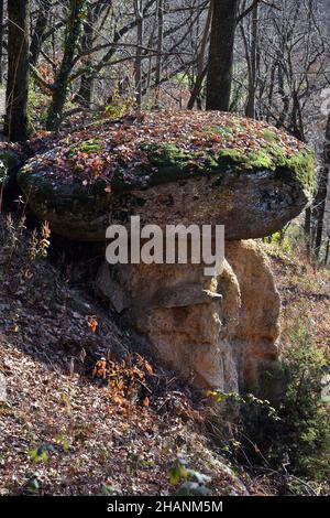 Villar San Costanzo, Piemonte, Italia - la riserva naturale di Ciciu di Villar dove si trovano formazioni geologiche a forma di funghi, dovute all'alluncinata Foto Stock