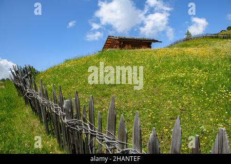 Una piccola capanna alpina su un prato verde in lieve pendenza con un cielo azzurro e alcune nuvole volose. Foto Stock