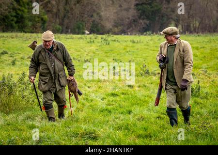 Due signori a piedi da guidare su pheasant sparare, Hampshire, Inghilterra. Foto Stock