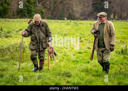 Due signori a piedi da guidare su pheasant sparare, Hampshire, Inghilterra. Foto Stock