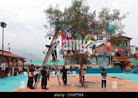 Callhuanca, Lima. 16 febbraio 2020 - scena dei preparativi per il partito popolare chiamato 'Yunza' che consiste nel ballare e abbattere la t Foto Stock