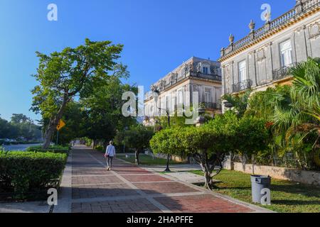 Paseo de Montejo è un famoso viale di Mérida, Messico Foto Stock