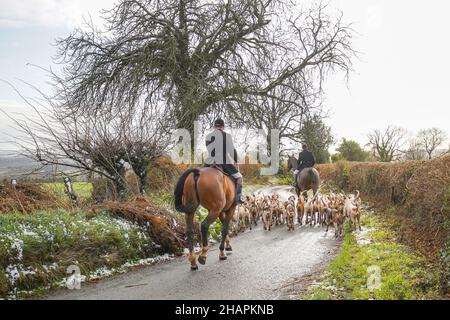 Caccia alla volpe nel Regno Unito in inverno; vista posteriore del maestro della caccia a cavallo circondato da un sacco di buoi in un vicolo rurale di campagna. Foto Stock