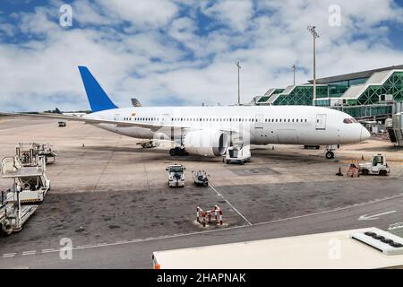 Aeroplano preparazione per il volo di decollo in aeroporto. Air Europa Boeing 787-8 Dreamliner chiamato Julio Iglesias Foto Stock