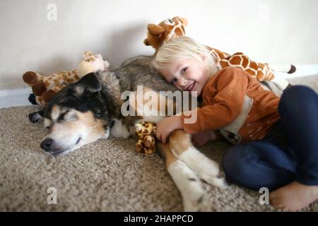 Una ragazza piccola carina sorride felicemente mentre abbraccia il suo animale domestico adottato tedesco Shepherd doy mentre gioca con le sue giraffe peluche giocattolo. Foto Stock