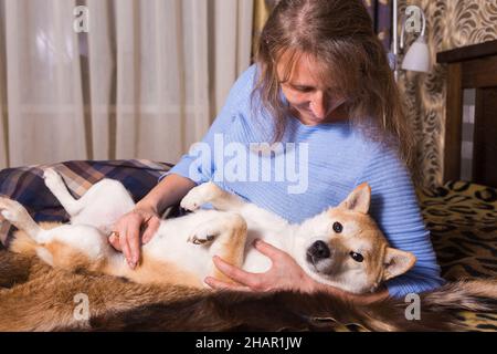 Concetto di amante degli animali domestici. Una donna che si diverte con un cane Shiba Inu su un letto in una camera da letto. Foto Stock