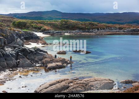 I visitatori e i loro cani si godono le spiagge di sabbia bianca e l'acqua di mare a Ardtoe sulla penisola Ardnamurchan sulla costa occidentale della Scozia Foto Stock