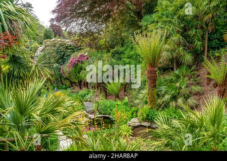 Subtropicale acqua a cascata giardino al centro del giardino Trebah, Cornwall, Regno Unito Foto Stock