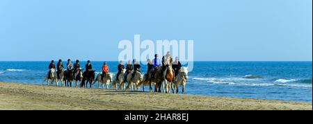 Passeggiate a cavallo sulla spiaggia Espiguette, Le Grau-du-Roi, Camargue, Francia Foto Stock