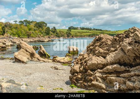 Costa a Polgwidden Cove Beach di Trebah Garden, Cornovaglia, Inghilterra, Regno Unito Foto Stock