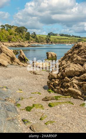 Costa a Polgwidden Cove Beach di Trebah Garden, Cornovaglia, Inghilterra, Regno Unito Foto Stock