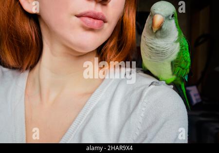 Un pappagallo verde si siede sulla spalla di una ragazza dai capelli rossi. Foto Stock