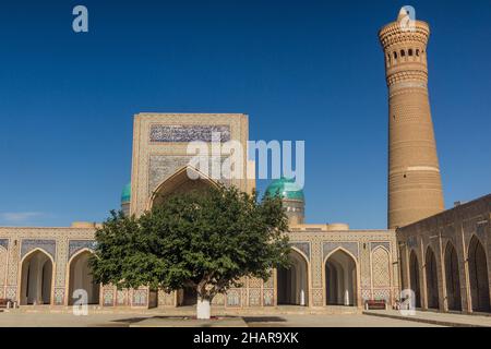 Cortile della Moschea Kalyan a Bukhara, Uzbekistan Foto Stock