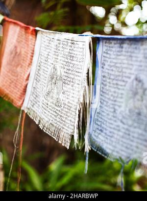 Bandiere di preghiera tibetane soffiano nel vento a Kamalaya, Koh Samui, Thailandia. Foto Stock