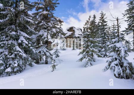 Paesaggio invernale di montagna. Alberi in foresta coperta di hoarfrost e neve. Monti Jizera, Jakuszyce, Polonia, Europa. Foto Stock