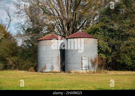 Serbatoi di deposito di grano piccoli o silos per immagazzinare grano raccolto su una fattoria piccola in Alabama rurale, Stati Uniti d'America. Foto Stock