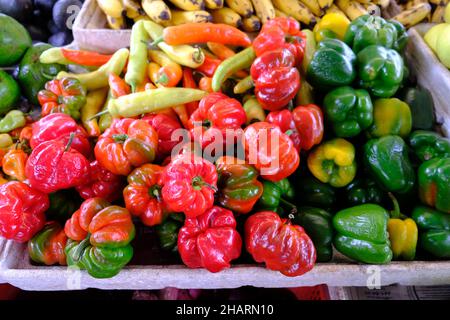 Messico Valladolid - bancarella di mercato di strada con variazioni di pepe Foto Stock