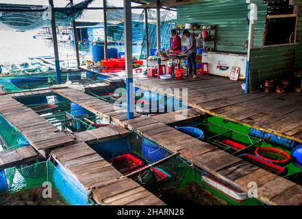 Pesce fresco che tiene carri armati in un ristorante in un villaggio di pescatori vietnamita. Popolare tra le aziende di viaggi e turisti. Foto Stock