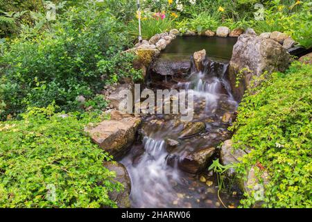 Laghetto con cascata delimitato da Stephanandra, Cotoneaster piante in giardino all'inizio dell'autunno. Foto Stock