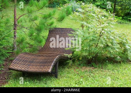 Sedia lunga in vimini marrone e marrone con bordo di Pinus - Pino e rhus typhina - Sumac in giardino backyrad. Foto Stock