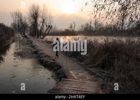 Srinagar, Jammu e Kashmir, India. 15th Dic 2021. Un uomo cammina su una passerella coperta di gelo durante una fredda mattinata invernale a Srinagar il 15 dicembre 2021. Tutte le stazioni meteorologiche del Kashmir hanno assistito a temperature inferiori allo zero la notte scorsa con Srinagar che registra -2,6 Â°C. Le notti hanno continuato a registrare temperature inferiori allo zero nel Kashmir per i 10th giorni di martedì con il mercurio che precipita a - 5,6 Â°C nella stazione sciistica di Gulmarg nel Kashmir nord. Credit: Adil Abbas/ZUMA Wire/Alamy Live News Foto Stock