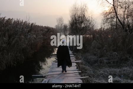 Srinagar, Jammu e Kashmir, India. 15th Dic 2021. Un uomo cammina su una passerella coperta di gelo durante una fredda mattinata invernale a Srinagar il 15 dicembre 2021. Tutte le stazioni meteorologiche del Kashmir hanno assistito a temperature inferiori allo zero la notte scorsa con Srinagar che registra -2,6 Â°C. Le notti hanno continuato a registrare temperature inferiori allo zero nel Kashmir per i 10th giorni di martedì con il mercurio che precipita a - 5,6 Â°C nella stazione sciistica di Gulmarg nel Kashmir nord. Credit: Adil Abbas/ZUMA Wire/Alamy Live News Foto Stock