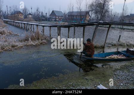 Srinagar, Jammu e Kashmir, India. 15th Dic 2021. Un uomo fa la sua barca negli interni del lago dal durante una fredda mattinata invernale a Srinagar il 15 dicembre 2021. Tutte le stazioni meteorologiche del Kashmir hanno assistito a temperature inferiori allo zero la notte scorsa con Srinagar che registra -2,6 Â°C. Le notti hanno continuato a registrare temperature inferiori allo zero nel Kashmir per i 10th giorni di martedì con il mercurio che precipita a - 5,6 Â°C nella stazione sciistica di Gulmarg nel Kashmir nord. Credit: Adil Abbas/ZUMA Wire/Alamy Live News Foto Stock