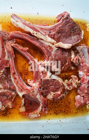 Costolette di agnello marinate con condimento e pronte per cuoco. Preparazione per la festa del sacrificio o barbecue da picnic. Foto Stock