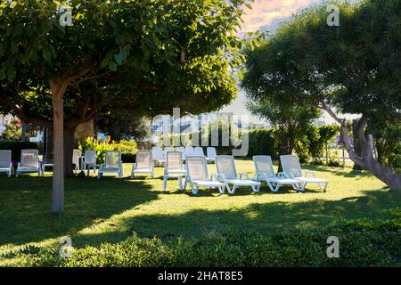 sedie a sdraio ombreggiate sotto l'albero d'arancio e lettini per prendere il sole sul prato nel giardino dell'hotel. Messa a fuoco selettiva. Nessuna gente. Foto Stock