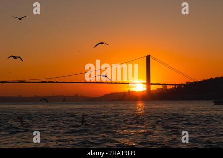 Ponte sul Bosforo. Silhouette del ponte sul Bosforo e gabbiani a Istanbul. Istanbul al tramonto foto di sfondo. Foto Stock