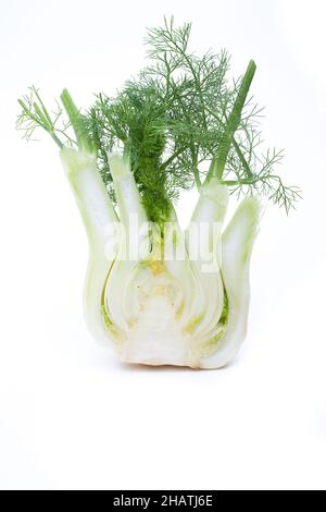 Finocchio, Foeniculum vulgare, interno, verdure, tagliato, metà, metà, gambo, bianco, gambo, Foglie, foglie, spezie, primavera, primavera, verdi selvatici, erbe, verde Foto Stock