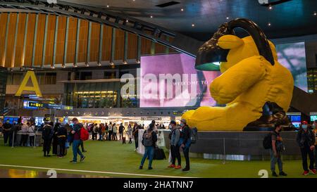 DOHA, QATAR - 16 novembre 2021 : molti viaggiatori sono con le maschere nel terminal dell'aeroporto internazionale di Hamad durante il periodo covid. Foto Stock