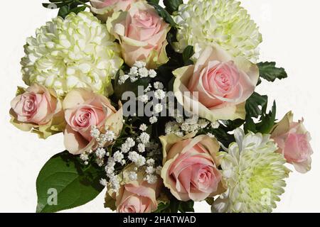 Primo piano bouquet di fiori (rosa, gypsofila, crisantemo) con sfondo bianco. Paesi Bassi, Foto Stock
