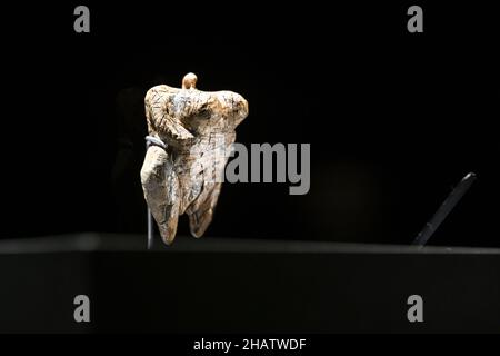 15 dicembre 2021, Baden-Wuerttemberg, Blaubeuren: La più antica rappresentazione figurativa di un essere umano al mondo si trova in una vetrina illuminata. La cosiddetta Venere dei Fel Hohle è alta circa sei centimetri, fatta di avorio di mammut e di circa 40.000 anni. La statuetta di Venere scolpita è stata scoperta nel settembre 2008 durante gli scavi nella grotta carsica di Hohle Fels ai piedi meridionali dell'Albo Svevo vicino a Schelklingen. La statuetta Venere è originaria della cultura del Paleolitico superiore dell'Aurignaciano. Il Museo Preistorico (urmu) nel sito patrimonio mondiale dell'UNESCO sarà Foto Stock